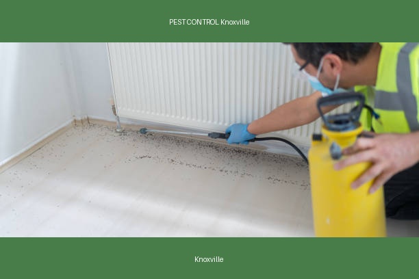 PEST CONTROL Knoxville